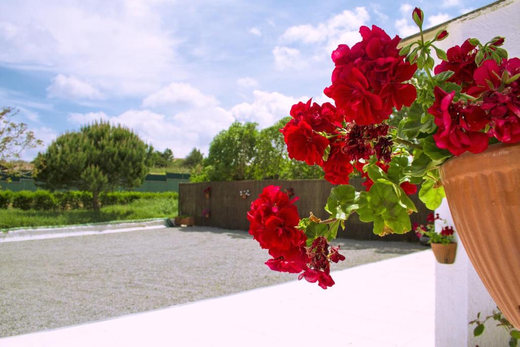 阿托吉亚达巴莱亚Casal Do Góis Guest House的白色墙上的一束红色花