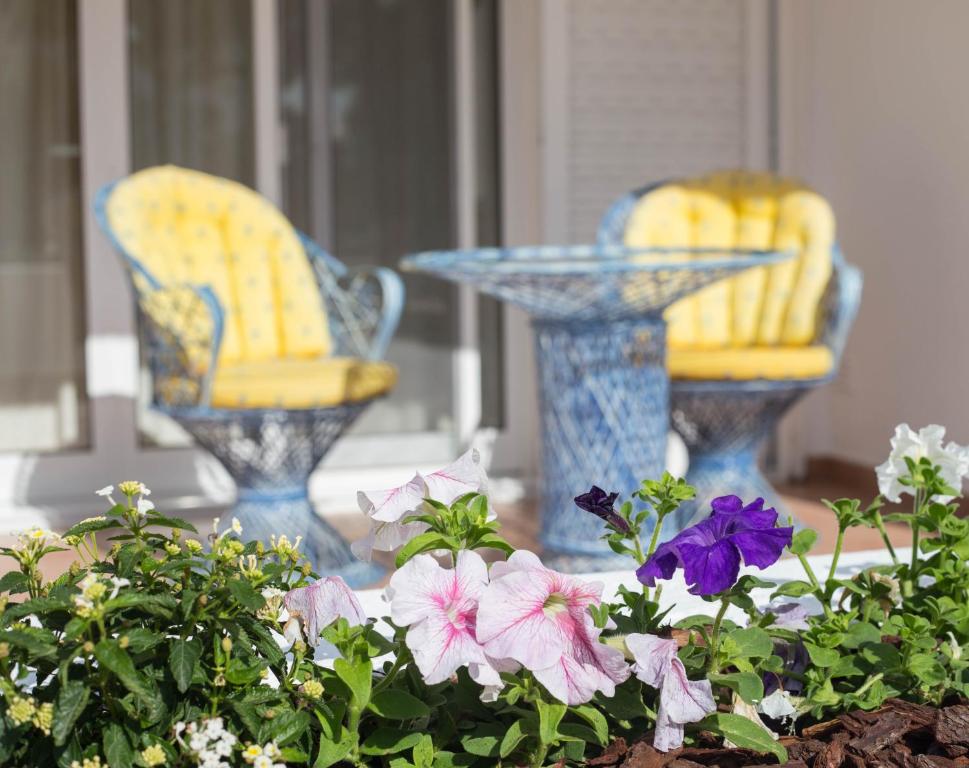 韦尔都勒博Casa das Flores的两把椅子和一张桌子,前面摆放着鲜花
