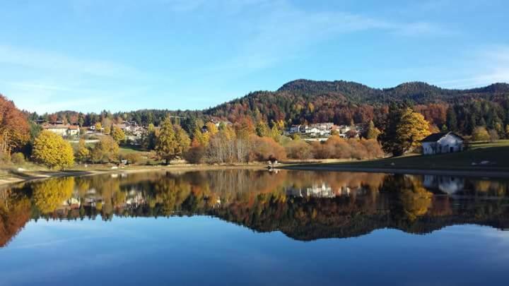 拉瓦罗内Haus Green & Spa Angelika Trentino的享有树木和房屋的湖泊美景。