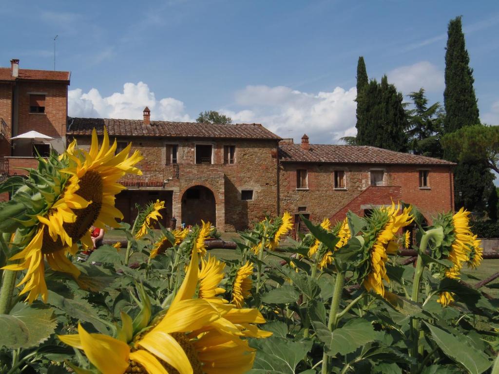 锡纳伦加Podere La Capacciola的建筑物前的向日葵