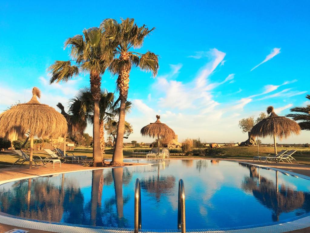坎波斯芬卡运河Spa度假村的一个带棕榈树和稻草遮阳伞的游泳池