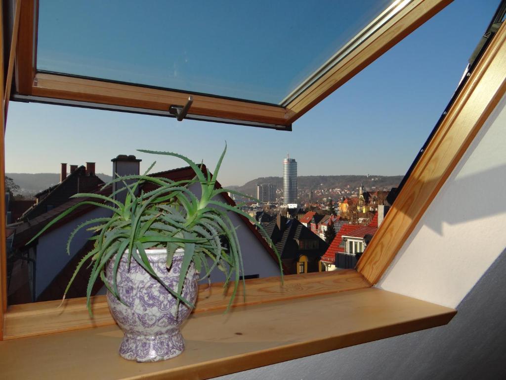 耶拿艾斯布里克两室公寓的花瓶坐在窗台上,植有植物