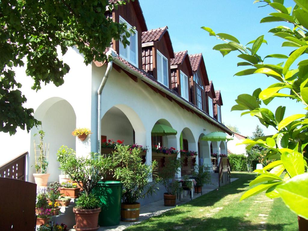鲍洛托努德沃里Haus Martha的庭院里种植盆栽的建筑