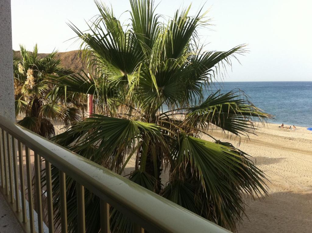 卡沃内拉斯Miramar的阳台享有棕榈树海滩和大海的景致。