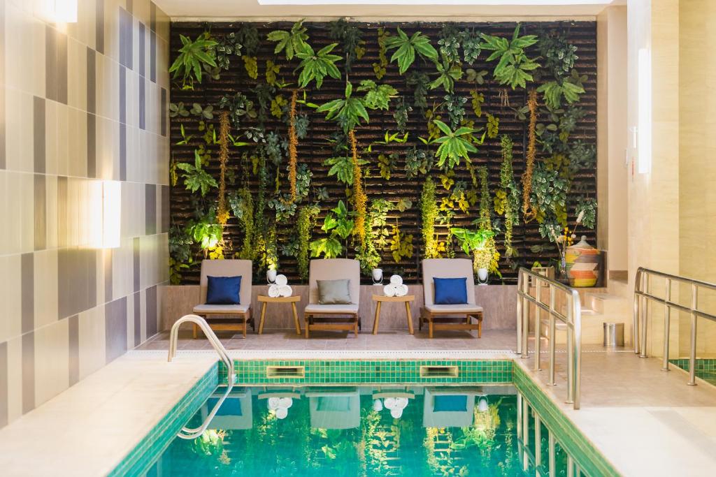 阿雷格里港阿雷格里诺富特机场酒店的一个带两把椅子的游泳池,墙上挂着植物