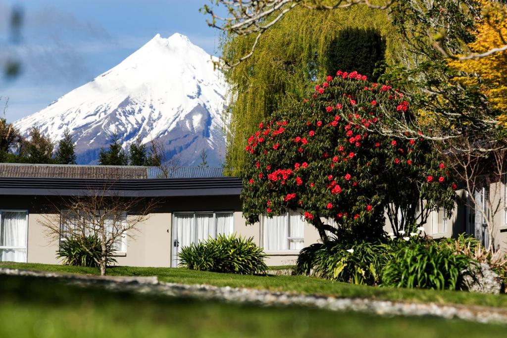 新普利茅斯Ratanui Villas的满是红花的房子后面的雪覆盖的山