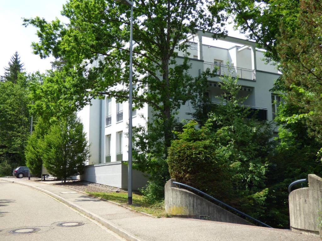 巴登-巴登SeWeR Apartment的街道边的白色建筑