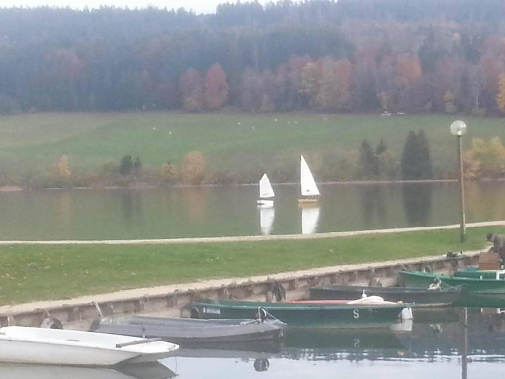 Saint-Point-LacL'Ecrin du Lac的一艘船上的帆船