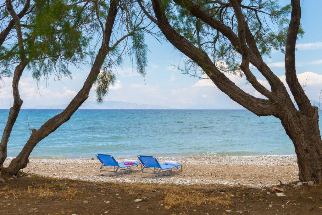 塞奥洛戈斯安娜贝尔公寓的两把蓝色椅子坐在靠近水面的海滩上
