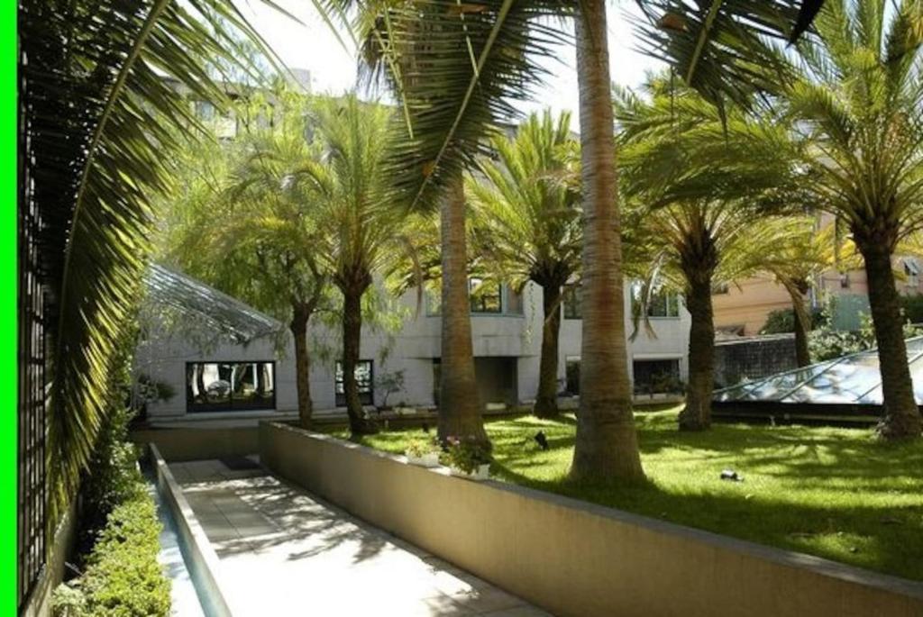 尼斯尼斯距离大海450米超级一室公寓的一排棕榈树在房子前面