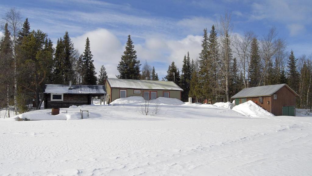 SkauloLakeside House in Lapland的一座有两栋建筑和树木的雪覆盖的院子