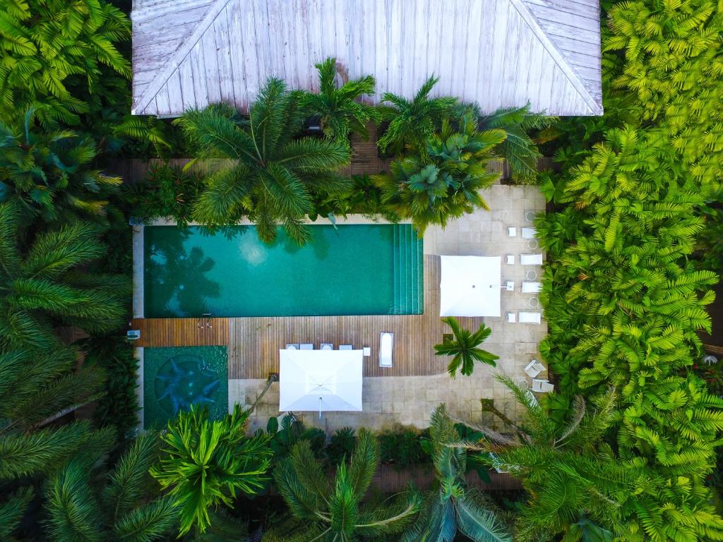 别霍港卡默莱昂精品酒店的享有游泳池和棕榈树的上方景色