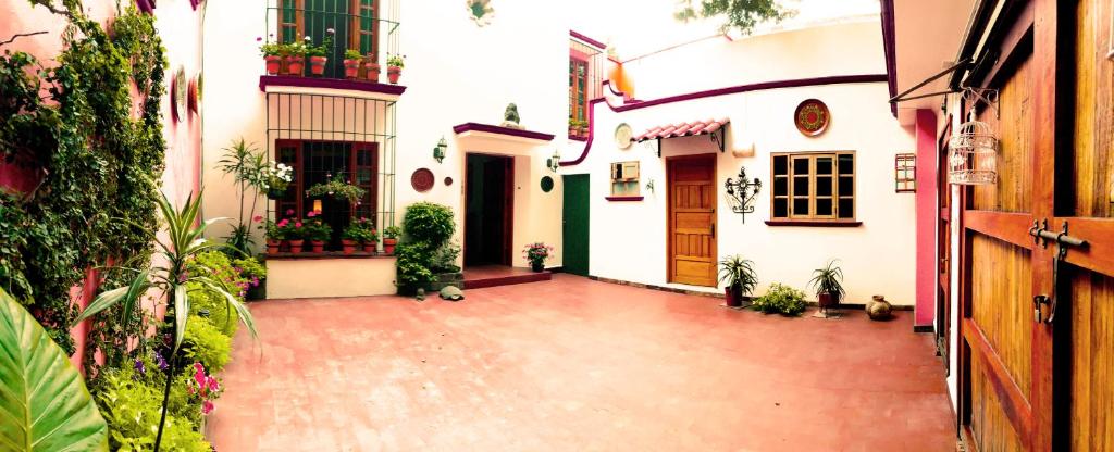 墨西哥城哈辛塔之家旅馆的一座种有植物的房子的空庭院
