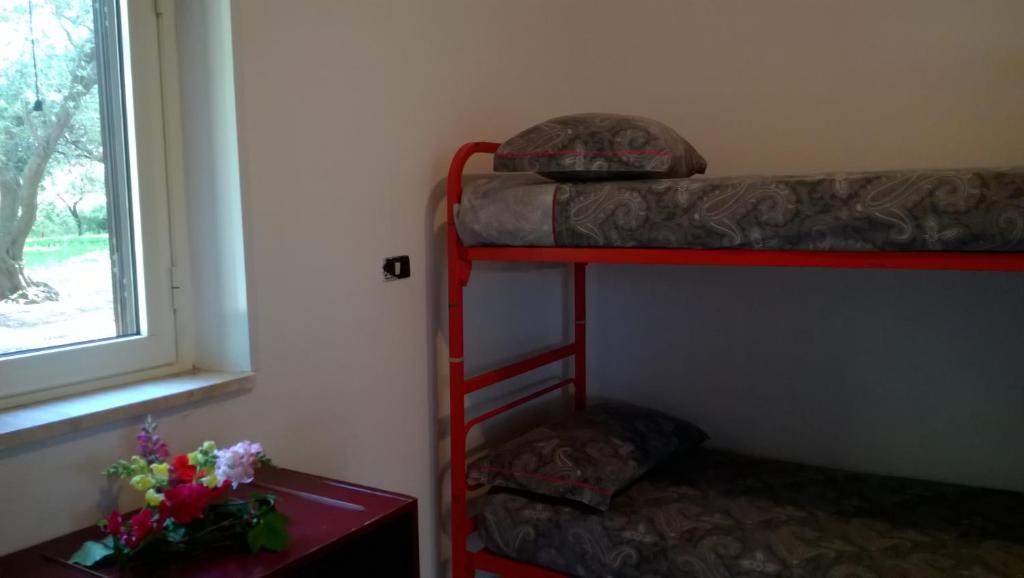 利卡斯戴勒Camping Dell'Uva的客房设有两张双层床和一扇窗户。