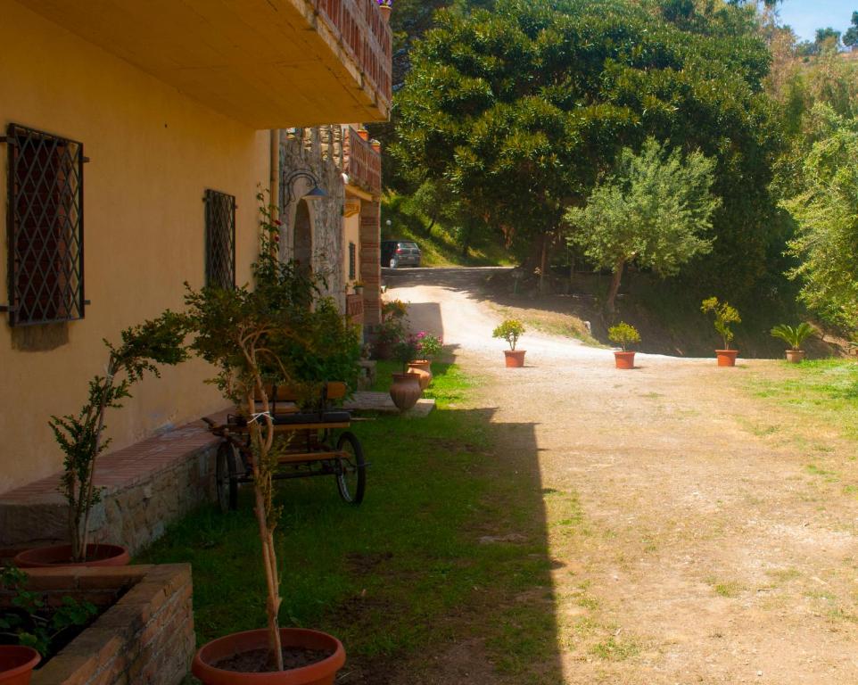 FicarraAgriturismo Fattoria di Grenne的旁边是种盆栽植物的房子
