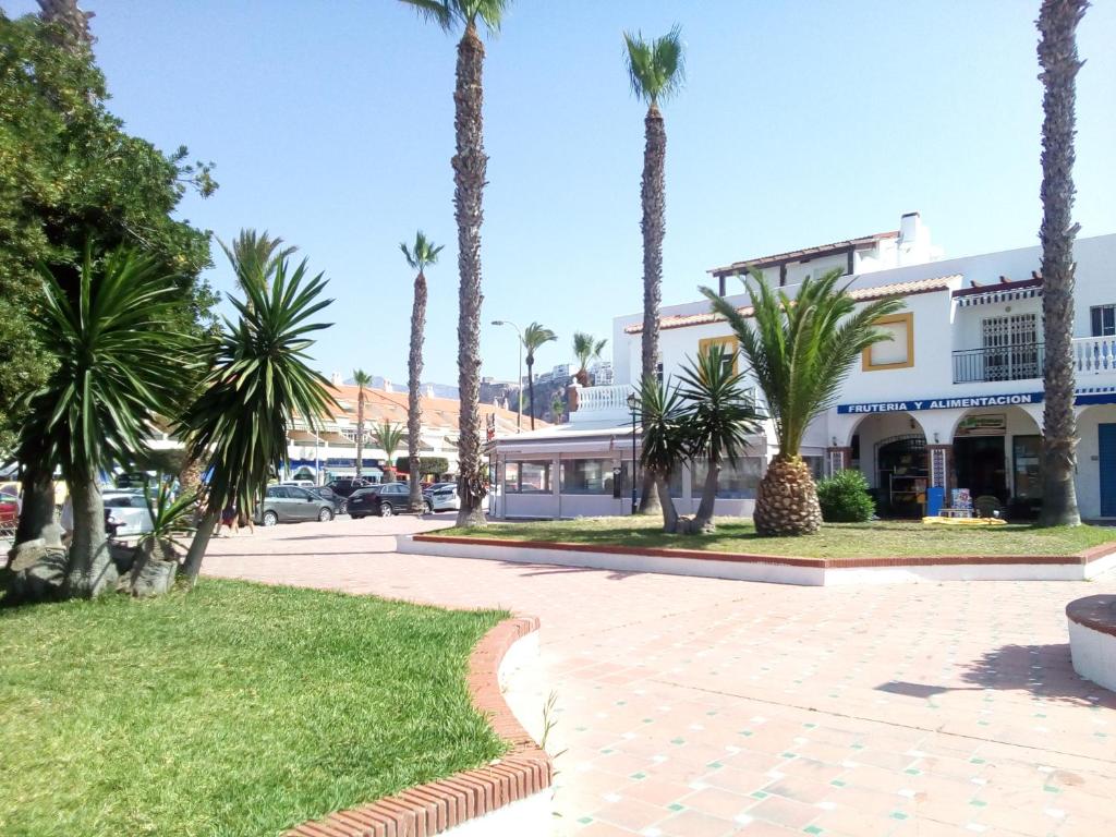 萨各夫雷纳salobreña primera linea de playa的一条棕榈树在建筑前的街道