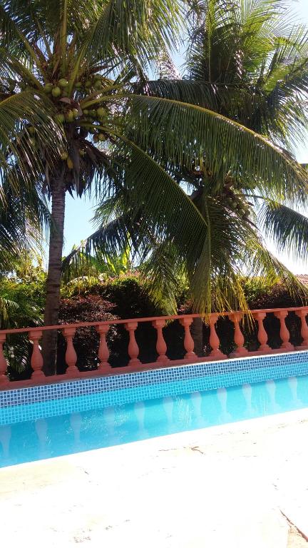 奥林匹亚Cantinho São João的围栏后方的棕榈树游泳池