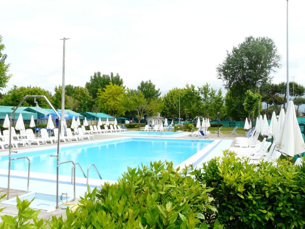 马里纳迪马萨Camping Giardino的一个带椅子和遮阳伞的大型游泳池