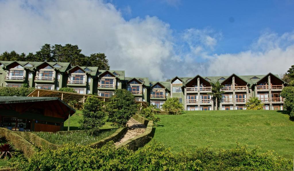 蒙泰韦尔德哥斯达黎加厄尔爱斯达梦泰恩酒店的前面一排带绿色草坪的房屋