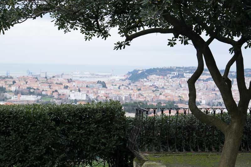 安科纳D'AGO48的从树后方欣赏到城市美景