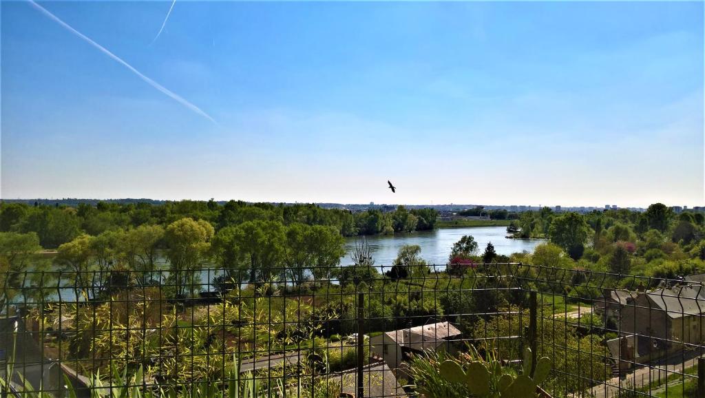 罗什科尔邦Le Gite de la Loire的鸟飞过河面的景观