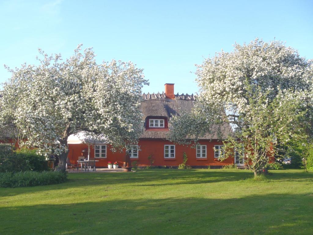 Stenløse索加登斯住宿加早餐旅馆的前面有两棵树的红房子