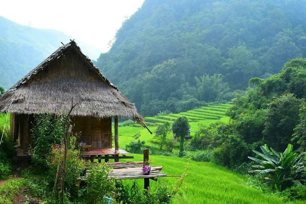 Ban Mae Pan NoiKowitFarmstay的山地的小小屋