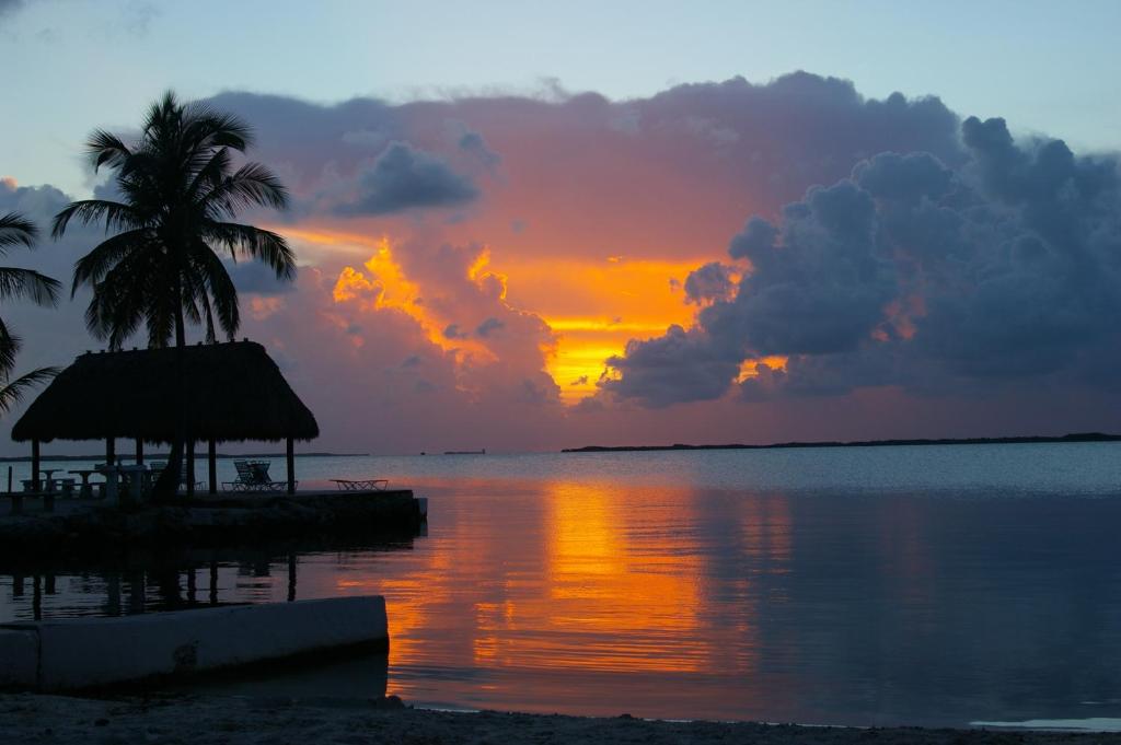 基拉戈岩石礁度假酒店的棕榈树和水的海滩上的日落