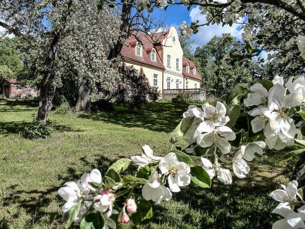 TurlavaMaras Manor的房子前面的一束白色花