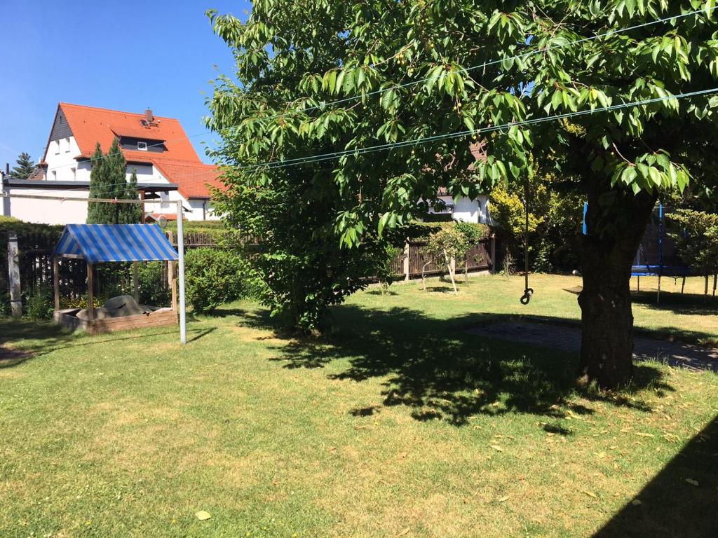 莱比锡Ferienhaus zentral & grün的 ⁇ 在院子里的树上摆着秋千