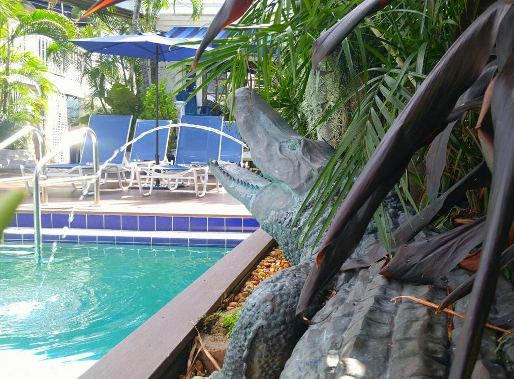 基韦斯特La Te Da - Adult Only, 21 or older的一座游泳池旁的海龟雕像