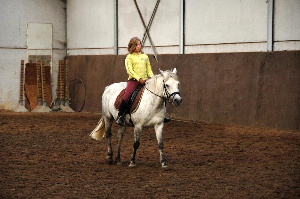 马尔德海姆菲立普斯瓦卡帖霍夫酒店的骑白马的女人
