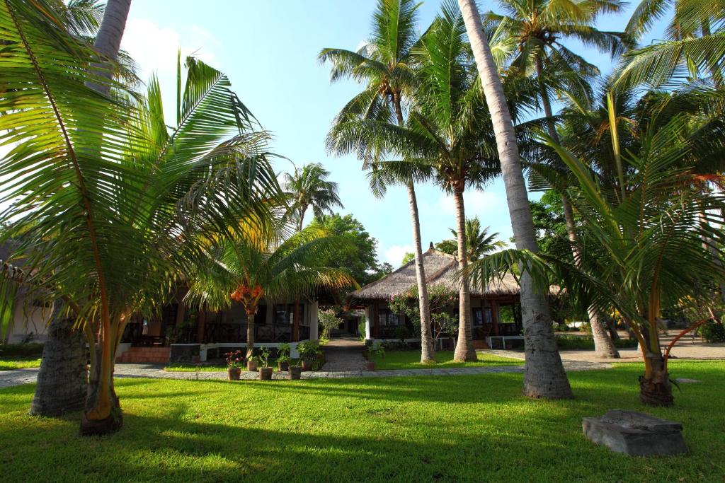 毛梅雷阿姆利塔毛梅乐度假酒店的一群棕榈树在房子前面