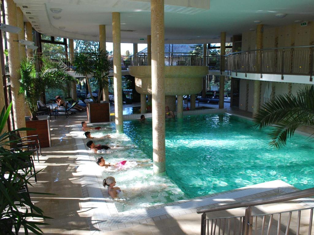 久洛久洛健康酒店的一群人在游泳池游泳