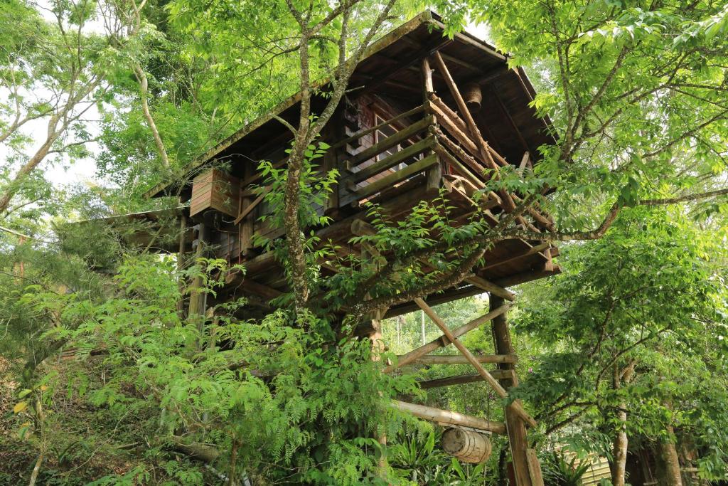 梅山乡赖坤阳的家 的森林中的一个树屋