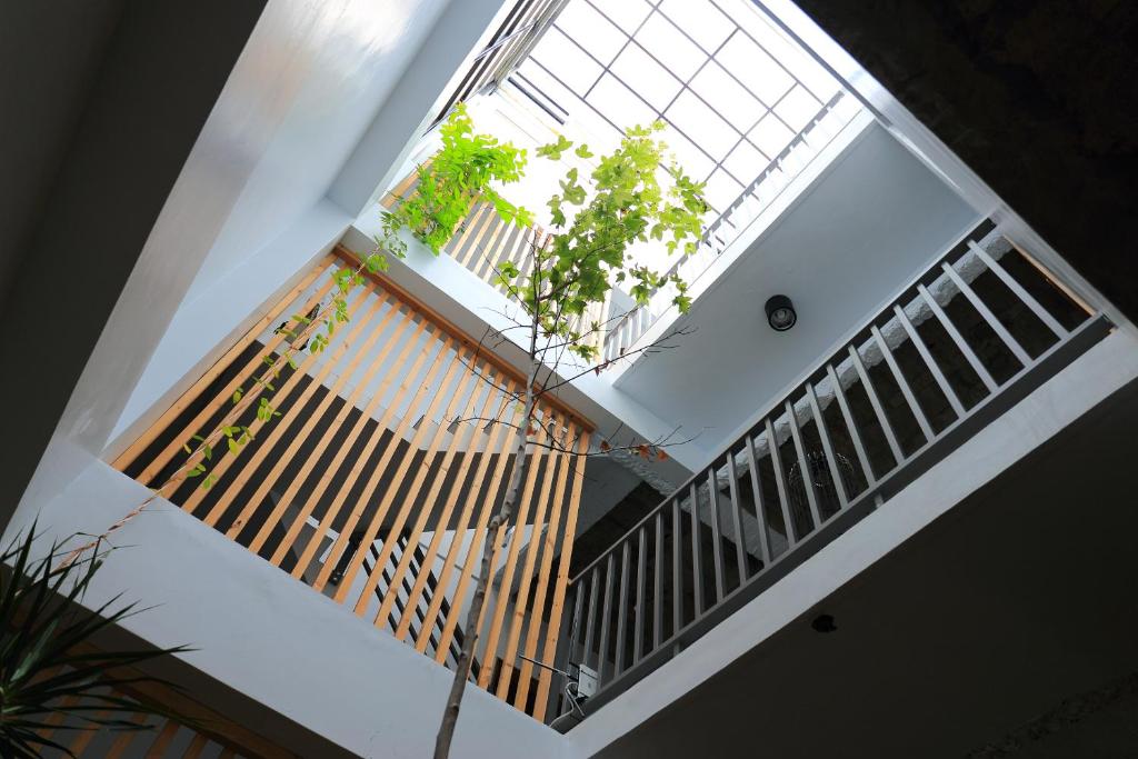 安平区安平光影的走廊上设有楼梯,有窗户和植物