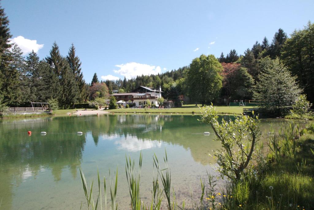 雷丹尼茨恩Ferienanlage Forellenhof的一座大湖,后面有一座房子