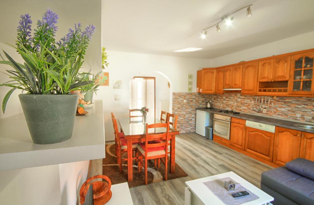 拉科维察Apartman Katja的厨房以及带桌椅的起居室。