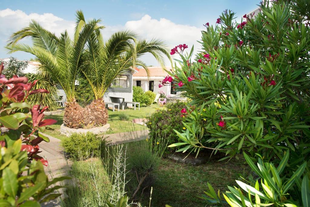 奥雷龙圣乔治蒙特尔酒店的种有棕榈树和一些植物的花园