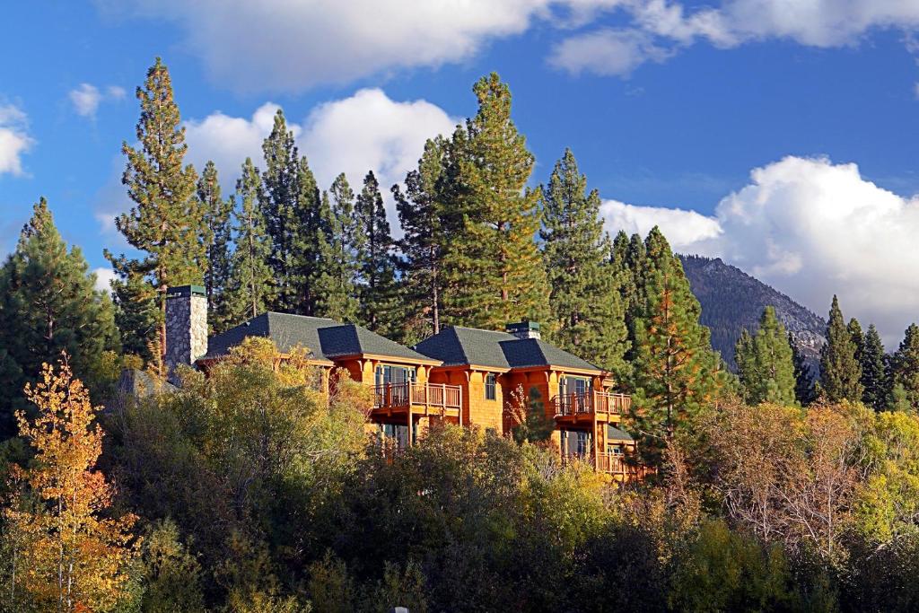 斜坡村Hyatt Vacation Club at High Sierra Lodge的森林中间的大房子