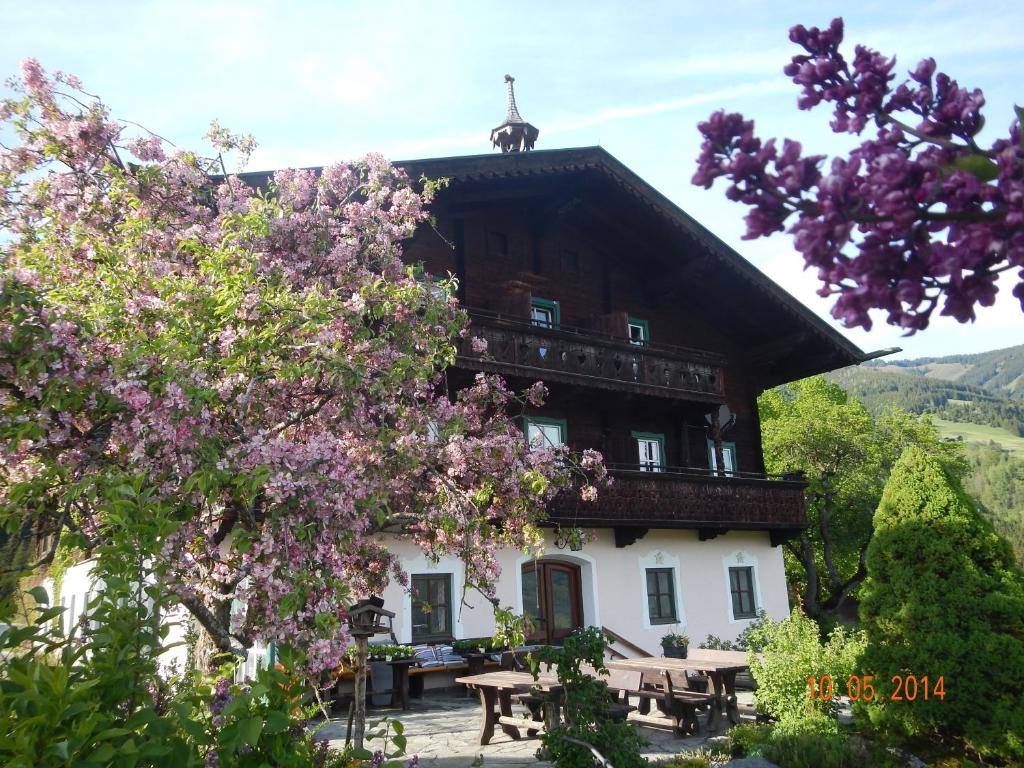 米特西尔Pension Schachernhof的一座带野餐桌的建筑和一棵紫色花卉的树