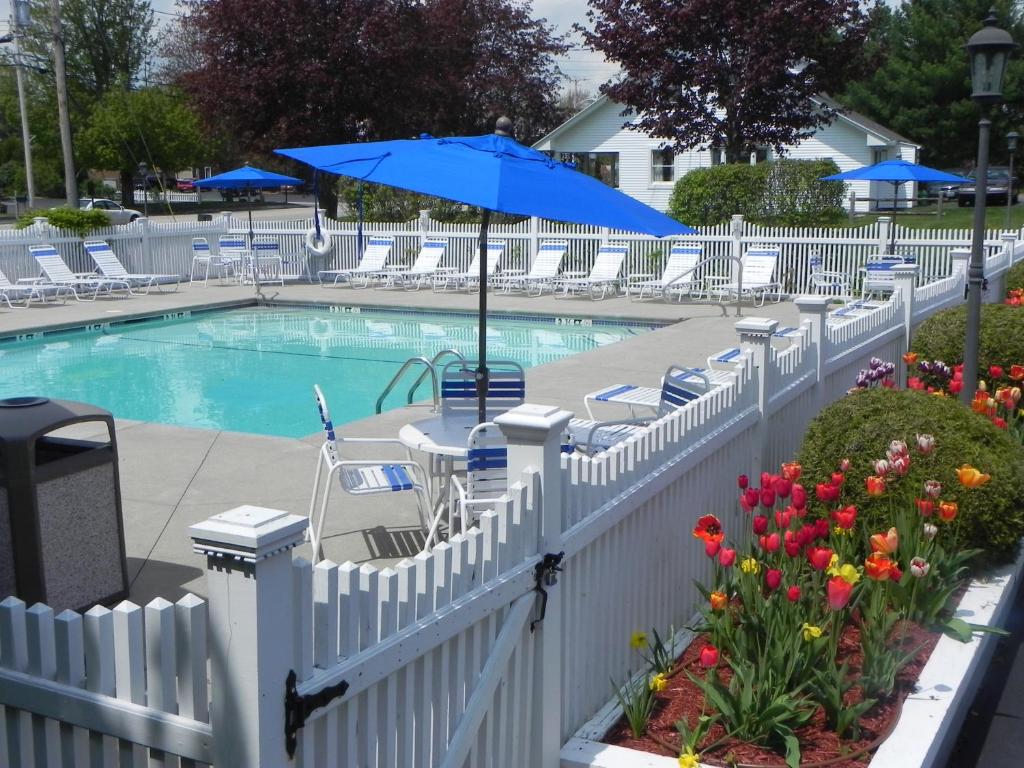 威尔斯Elmwood Resort Hotel的蓝色雨伞环绕着游泳池的白色围栏