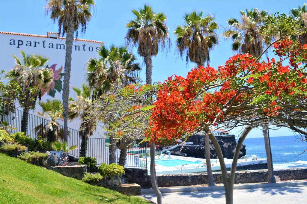 圣地亚哥港海洋全景公寓的度假村前方有红花的树