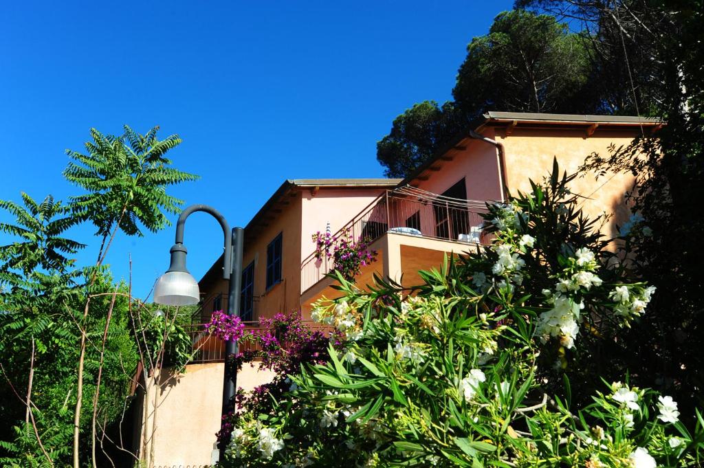 里奥内莱尔巴Nisportino的前面有一堆鲜花的建筑