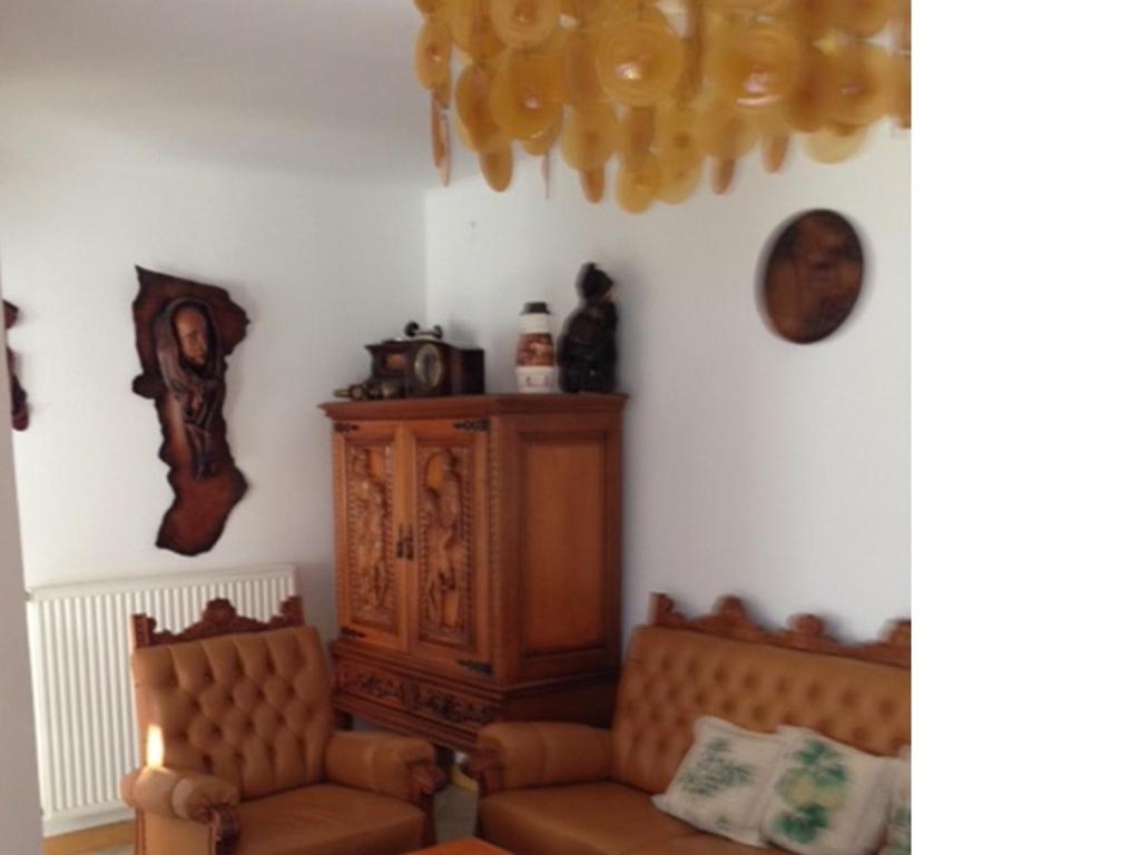 埃格尔Leo Vendeghaz的客厅配有两张沙发和一个橱柜