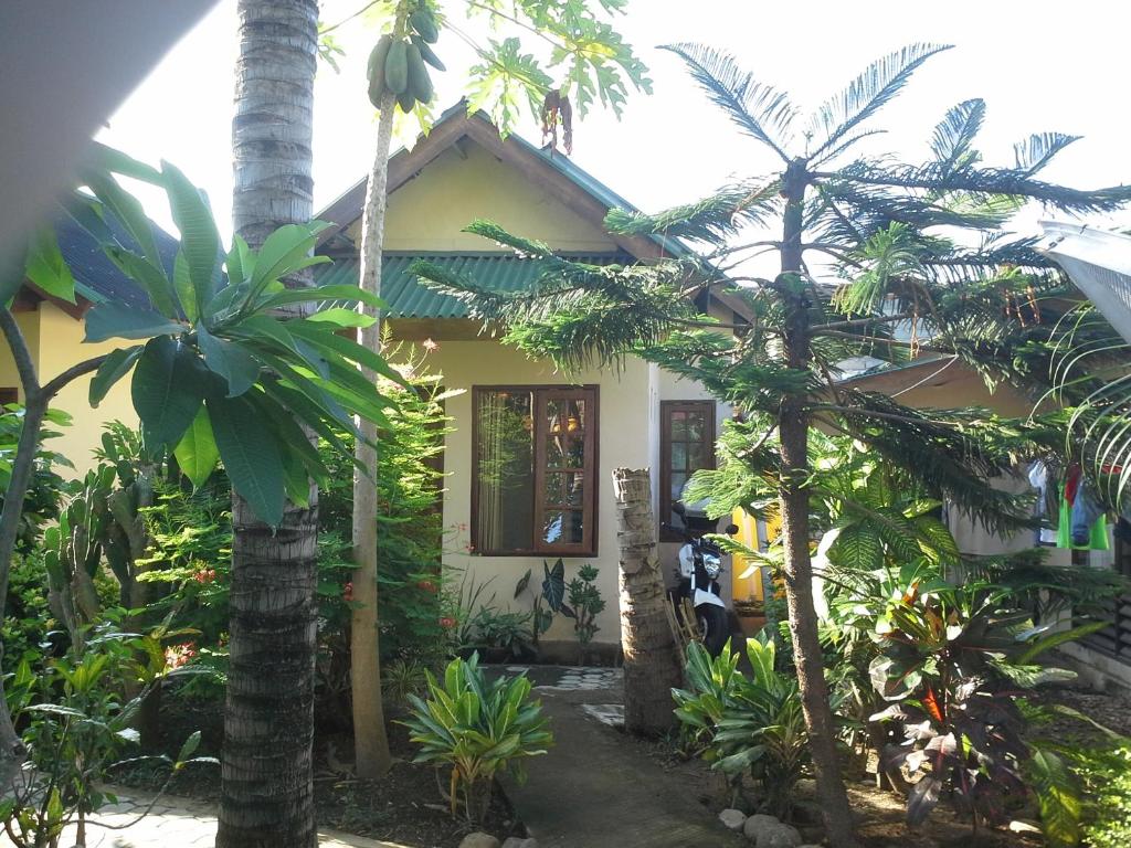 圣吉吉阿内尔简易别墅的前面有棕榈树的房子