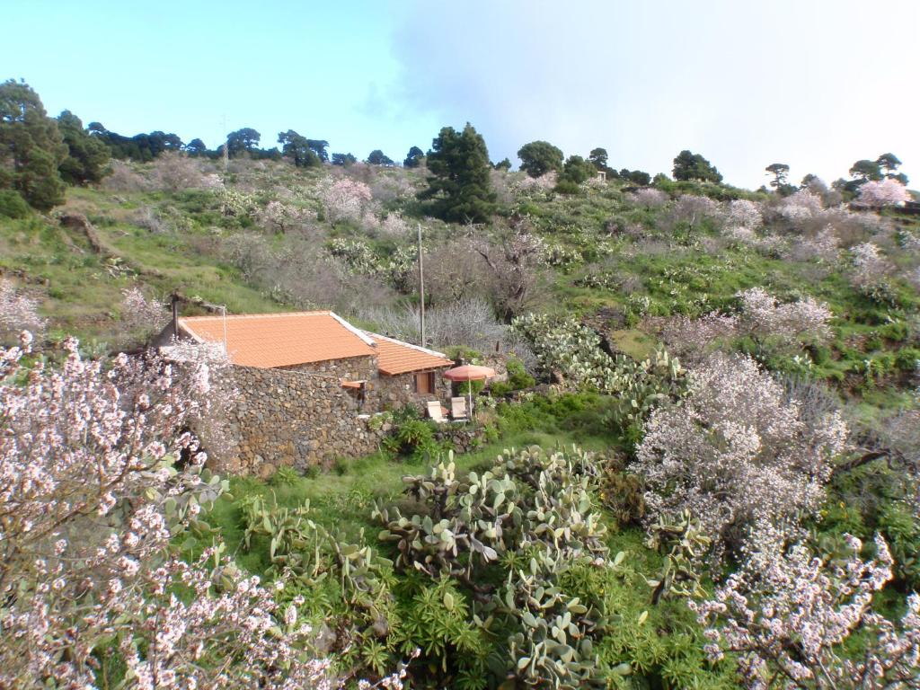 El Pinar del HierroCasa rural La Jarita的相册照片