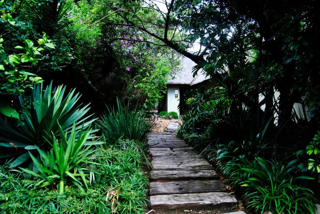 约翰内斯堡桦树小屋住宿加早餐旅馆的通往花园内房屋的石头路径