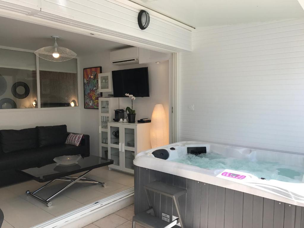 阿格德角卡普天然公寓的带沙发的客厅设有大浴缸