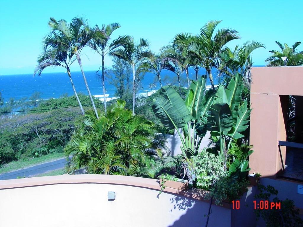 拉莫西拉鹏旅馆的阳台享有海景,种植了棕榈树。